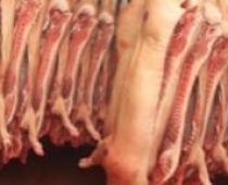 Китай увеличит поставки свинины в Россию Китай планирует в пять. 